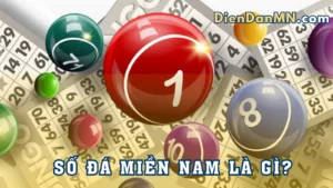 Bản Chất Và Định Nghĩa Của Số Đá Là Gì Trong Xổ Số Miền Nam